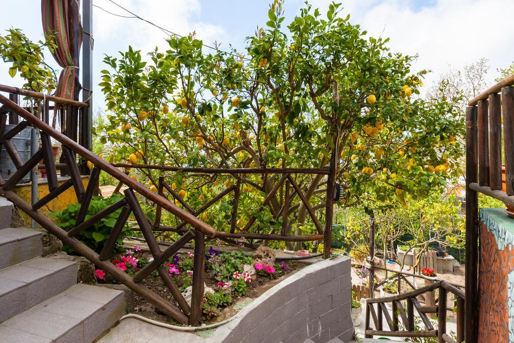 Gasthaus Nitrodi Experience Barano dʼIschia Exterior foto